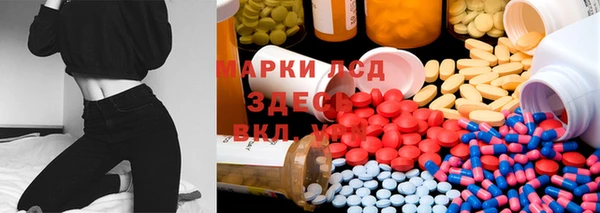 прущие грибы Абдулино