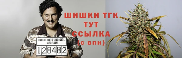 прущие грибы Абдулино